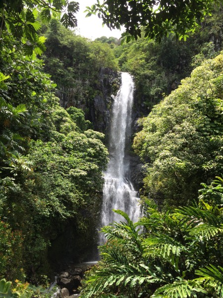Wailua Falls（ワイルア滝）