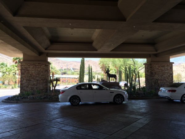 Ritz Carlton Rancho Mirage (59)